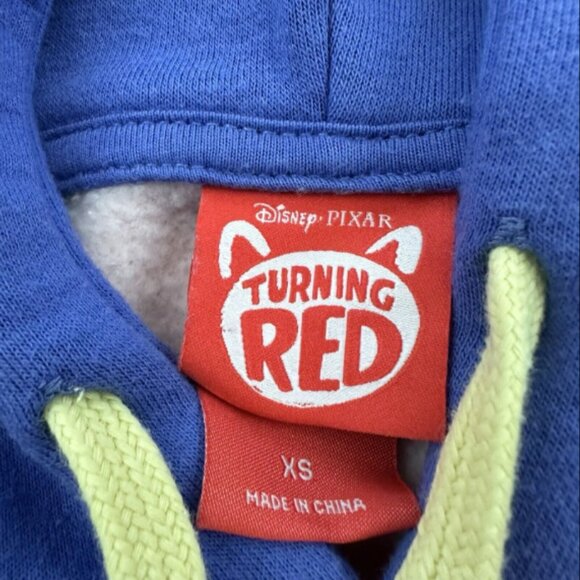 Disney Pixar Turning Red 4 Town Pullover Hoodie Sweatshirt Size XS Pastel 4 Ever - Picture 3 of 6